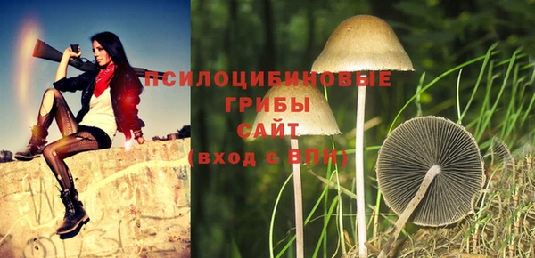 mix Сатка