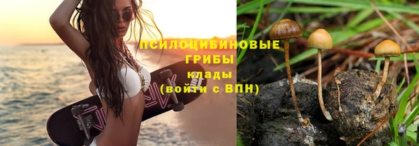 спиды Волоколамск